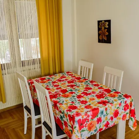 Town Side Apartment Celinac